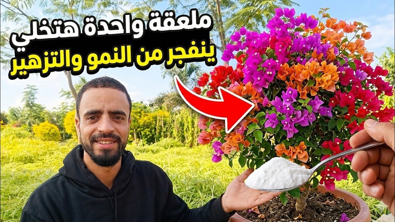 ضع ملعقة واحدة من هذا المسحوق على النبات وسينفجر من النمو !!! 