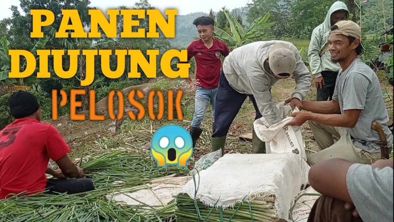 JAUH PUN KAMI TEMPUH‼️