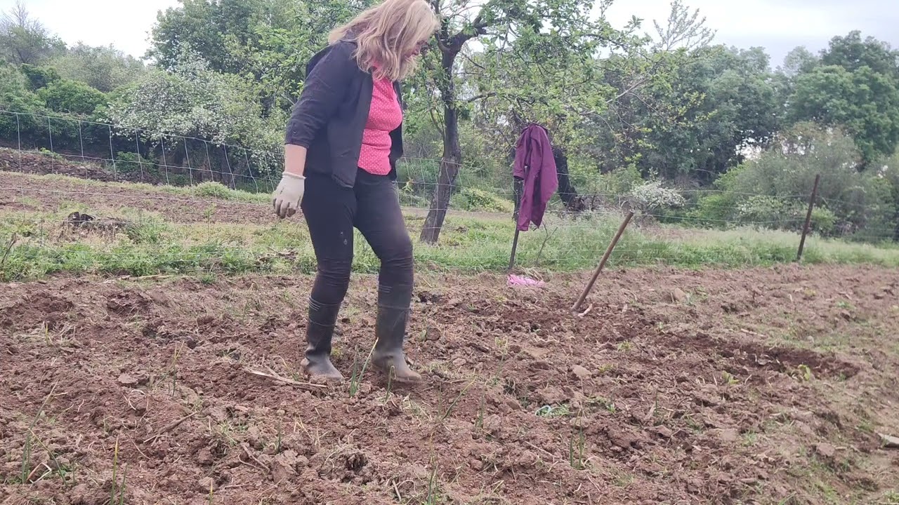 Cae un chaparon y me pilla en el huerto