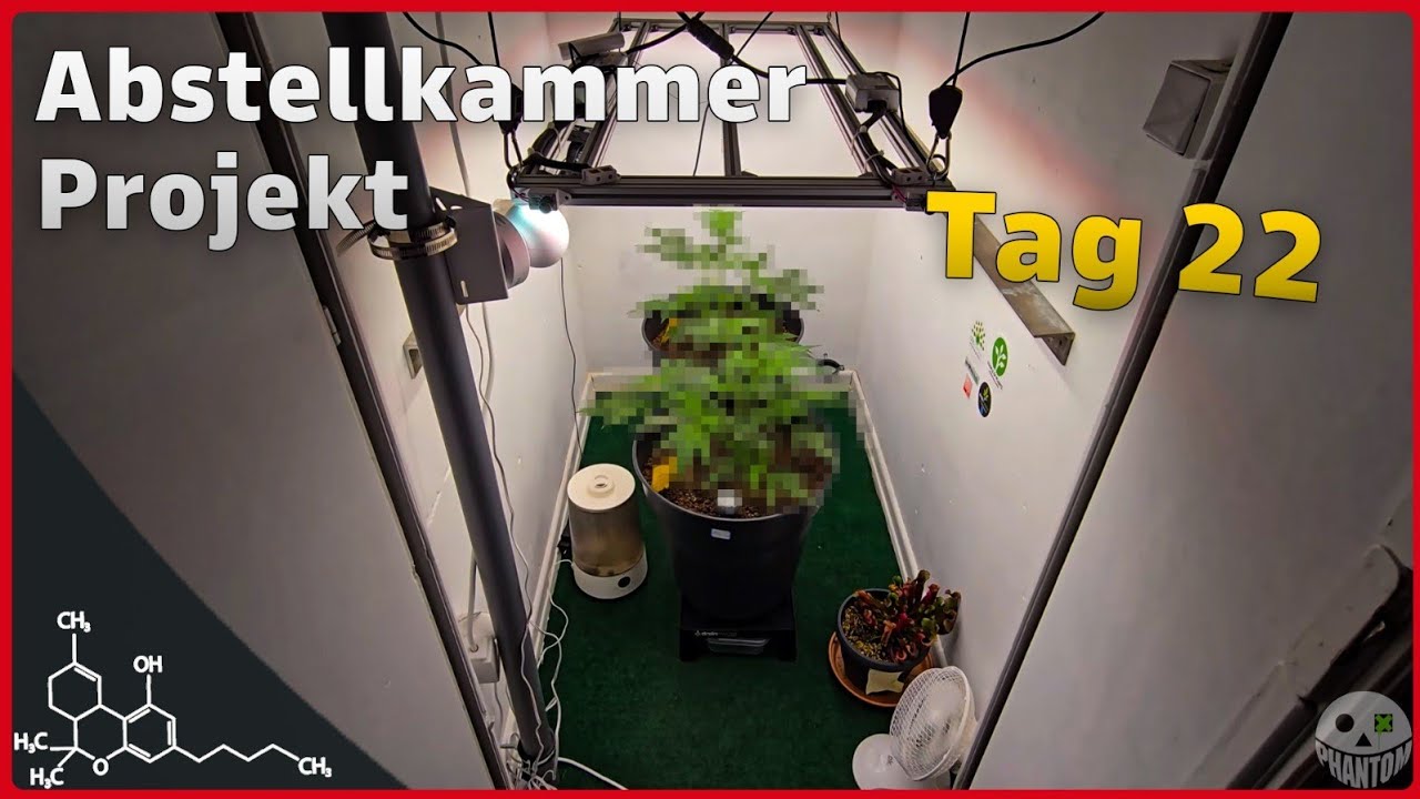 Wie sieht es aus in der ABSTELLKAMMER TAG 22