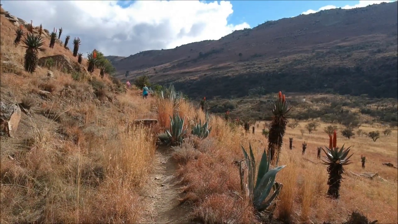 Bowkerskop Queenstown, Filmed with DJI Spark Drone.