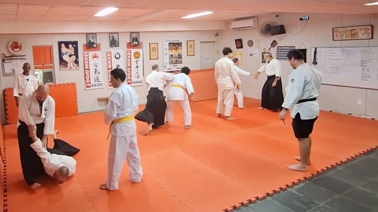 Ai-hanmi: Ikkyo, Henka Waza para Kotegaeshi, Irimi e Zagi Kokyu Ho