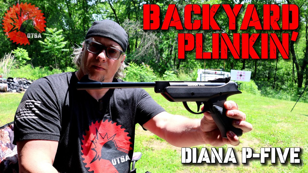 Diana P-Five — Backyard Plinking