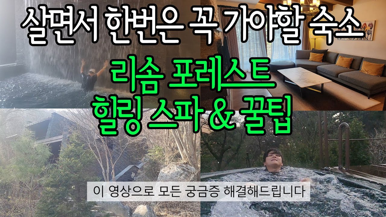 제천 리솜 포레스트 리조트 가기 전 꼭 보고 가세요! 꿀팁 & 맛집 & 시설 후기 I 헤브나인 스파, 레스트리, 룸 업그레이드, 조식, 부대 시설, 이용 시간 등