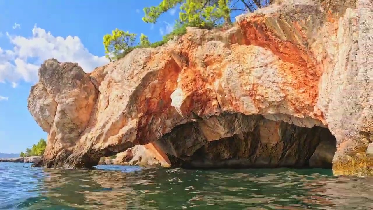 Kefalonia Wildlife - Turtles and Octopus (15 mins Director's Cut)