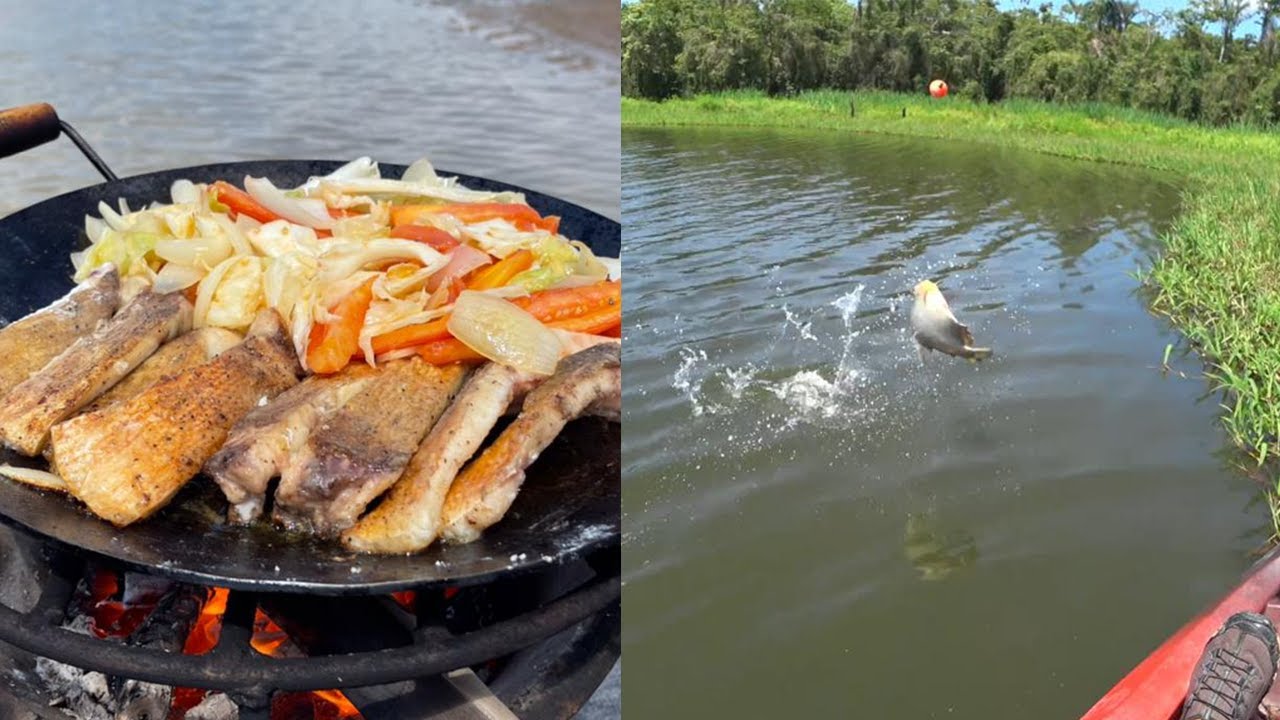 KAYAK FISHING AND PIRAPATING (PACU) RIBS (ASMR)