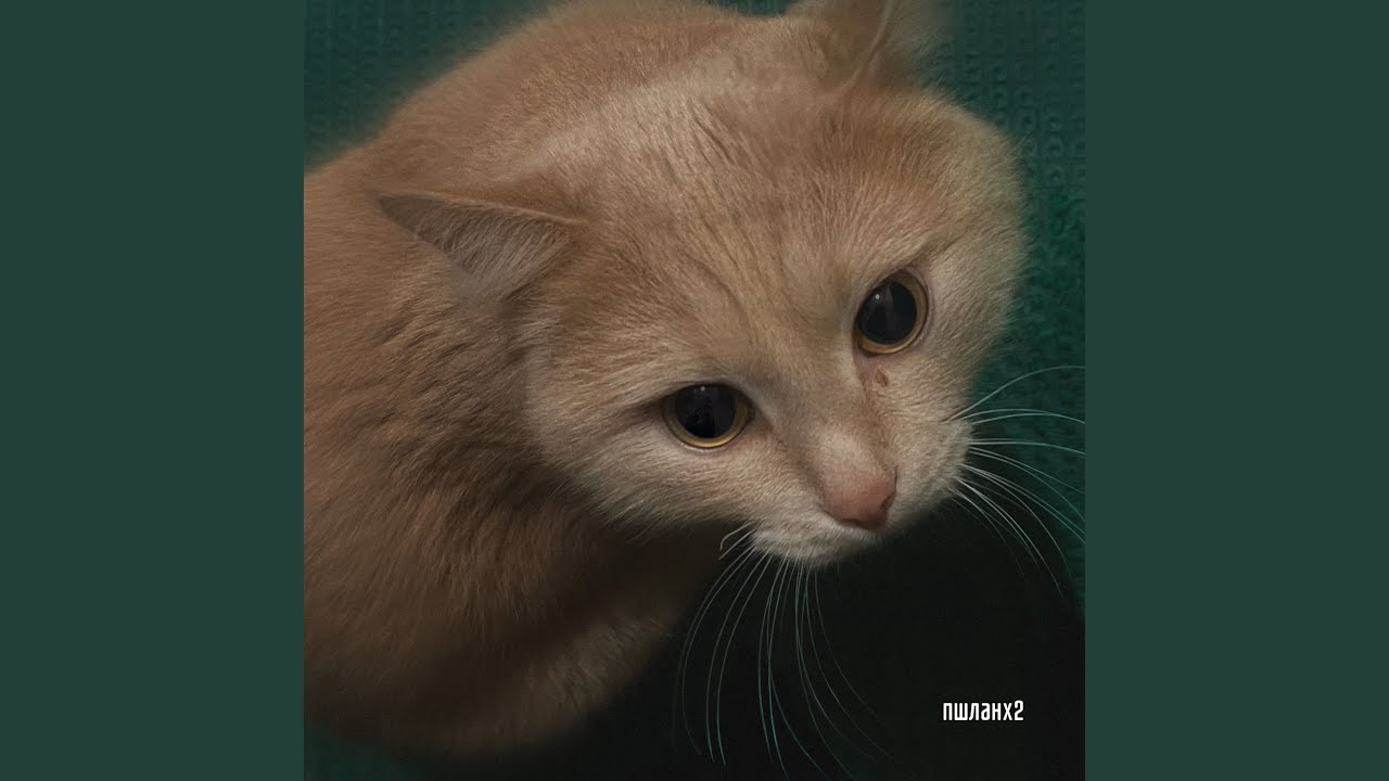 ПШЛАНХ2