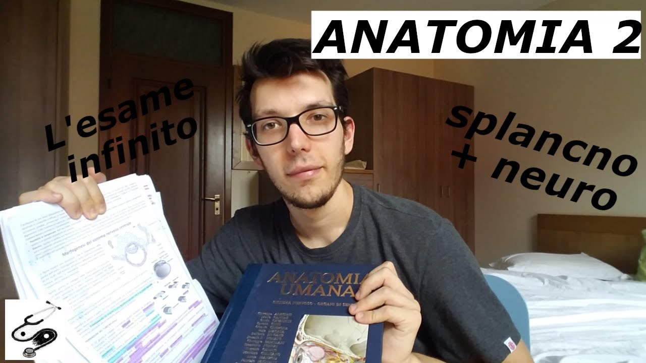 COME SUPERARE ANATOMIA 2 (splancno+neuro) - unipd | medpages