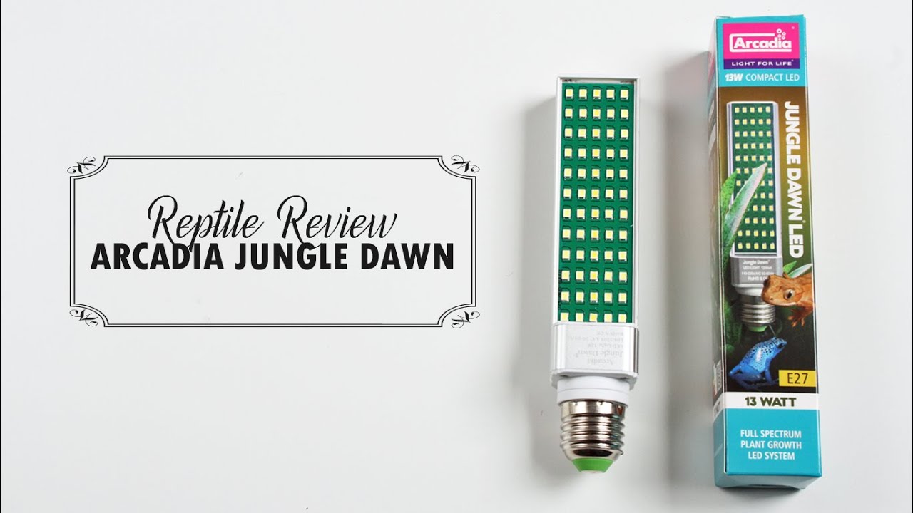 Arcadia Jungle Dawn LED Review - Plant Growth Light for Reptiles Tanks!