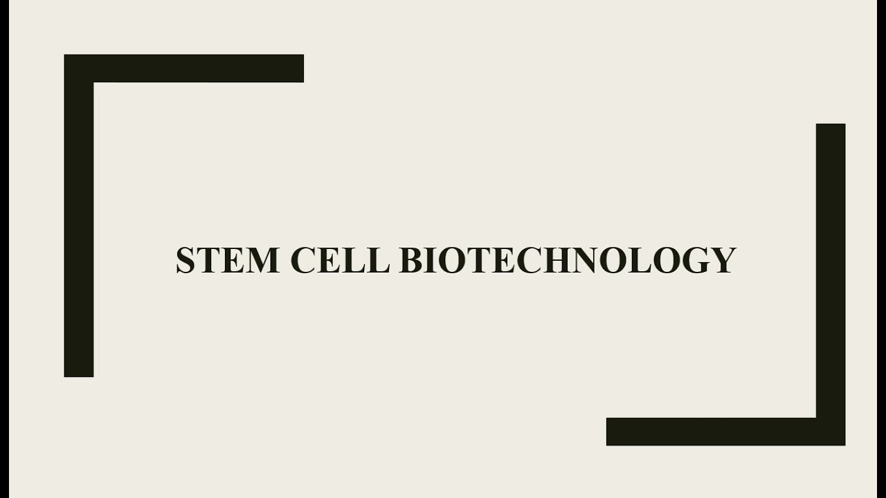 Stem Cell Biotechnology: Totipotent Cell, Pluripotent Cells, Multipotent Cells