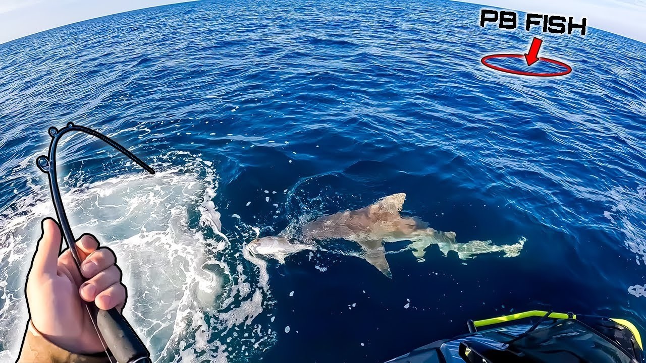 I Took My Jet Ski 28 MILES Offshore and THIS Happened **PB FISH CAUGHT**