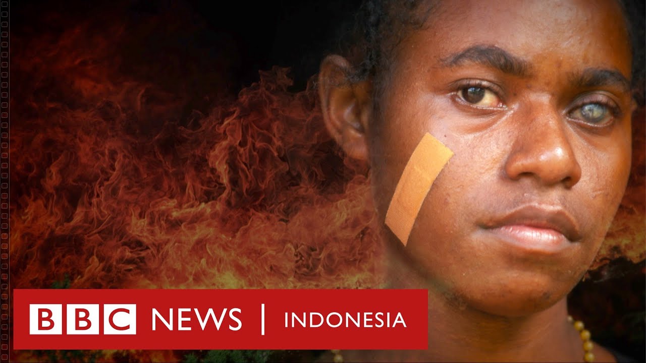 Lara di hutan Papua: Ancaman serius pembukaan lahan demi sawit - BBC News Indonesia