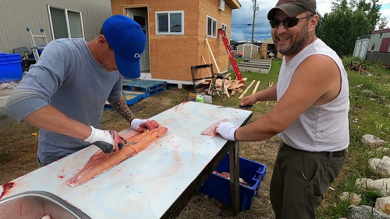 Whitefish Trout And gillnets