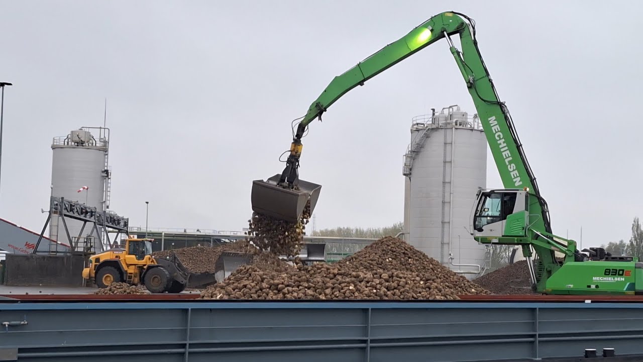 ⚓️🚚🚢SUIKERBIETEN lossen bij de SUIKERFABRIEK 🚢🚚⚓️