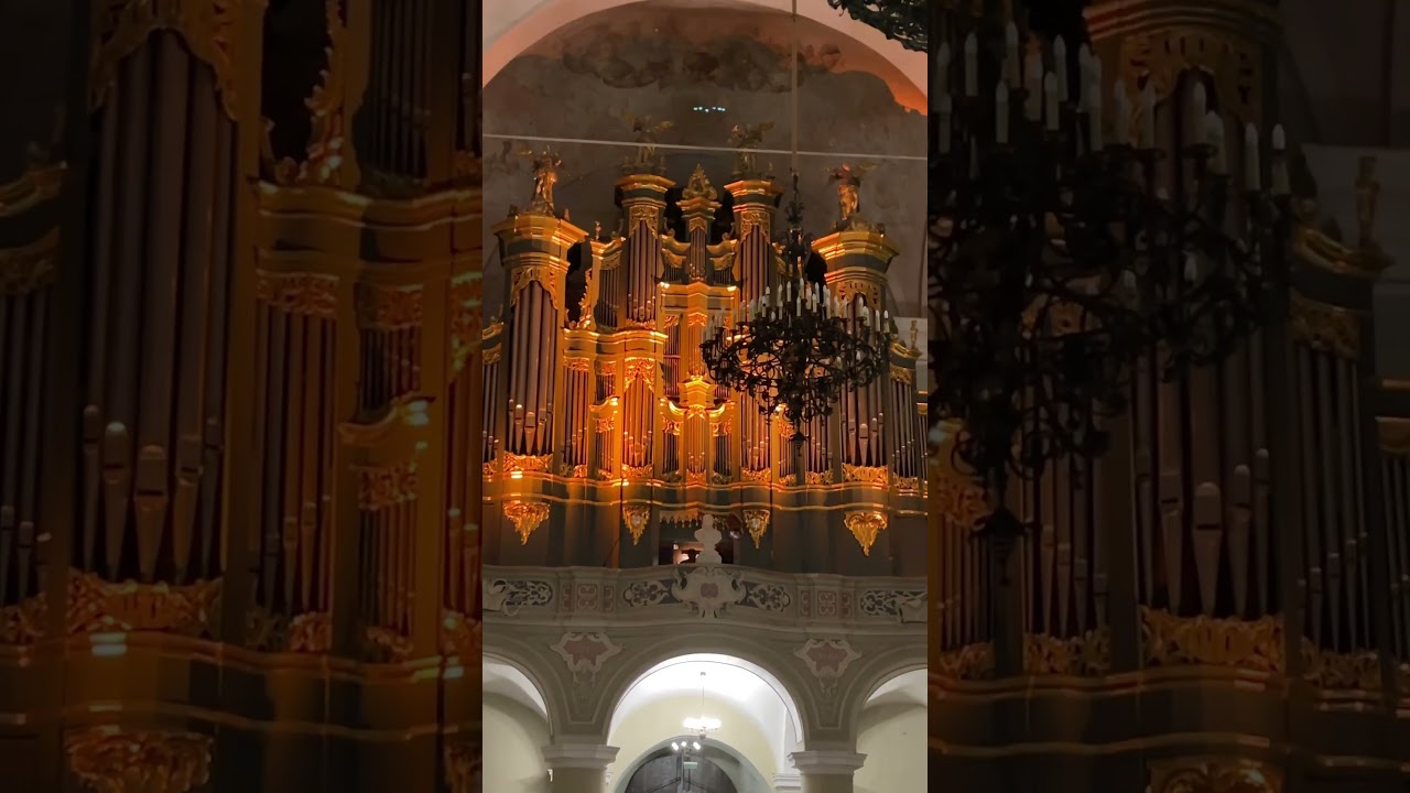 the largest pipe organ in Lithuania #shorts #vilnius #organ