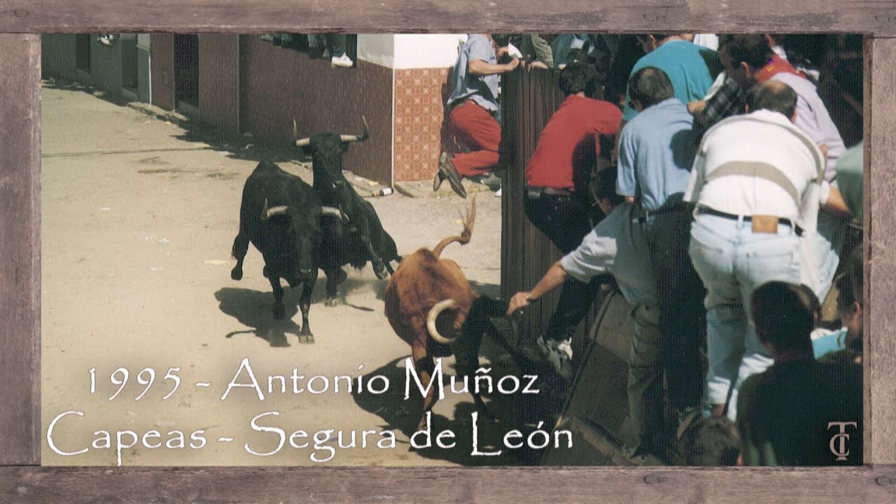Capeas Segura de León 1995. Antonio Muñoz. El Rubio - Entrada #shorts