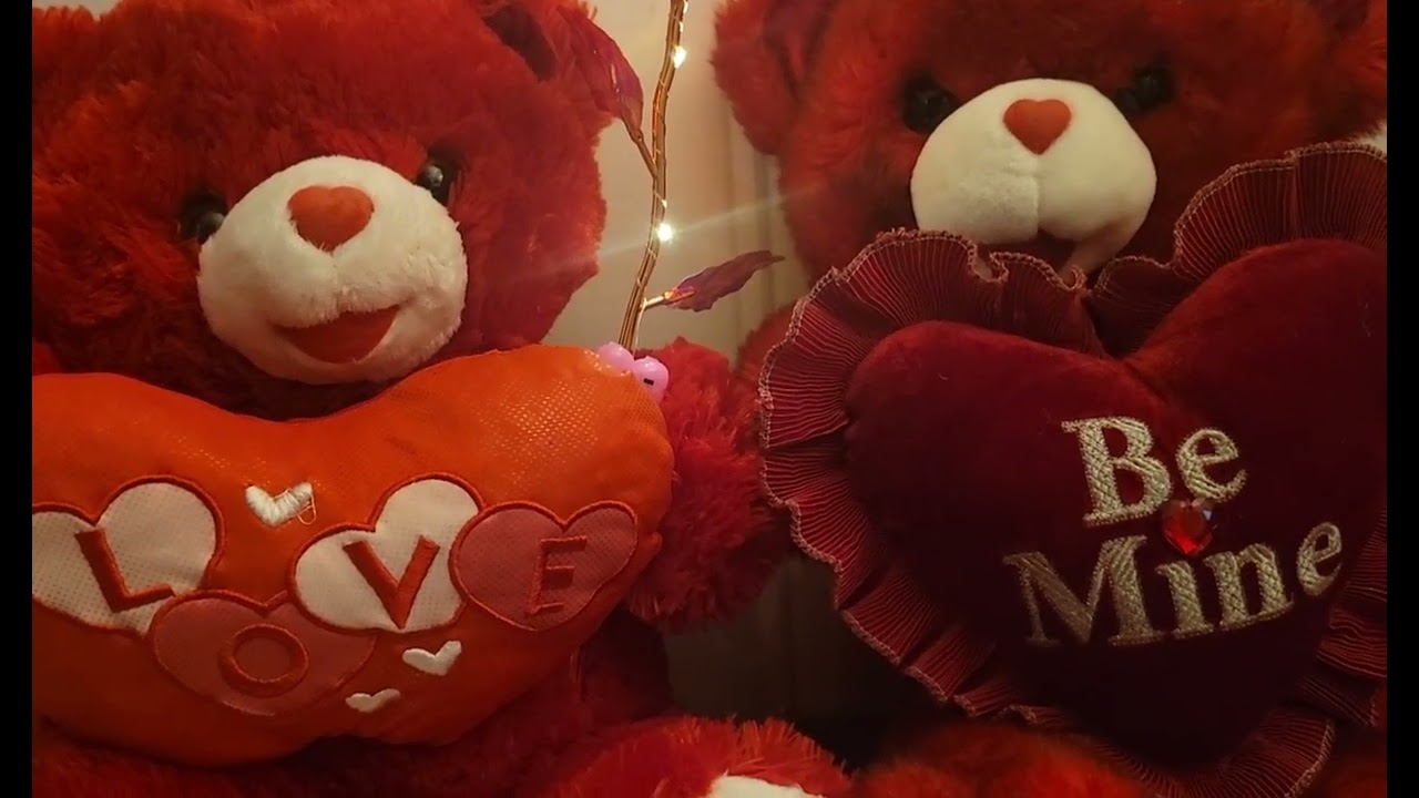 Beautiful teddy bears..@Vivi Mon Vlogs 