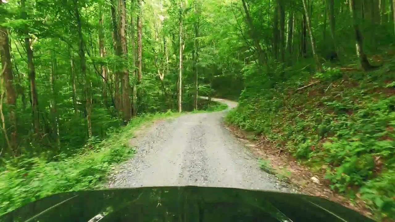 Scenic Drive on Wolf Creek Road | Lemon Gap to Locust Gap