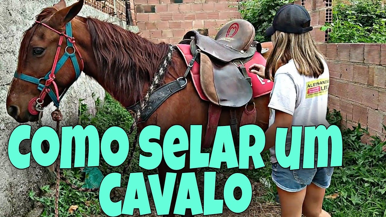 Como Selar Um Cavalo (Para iniciantes)