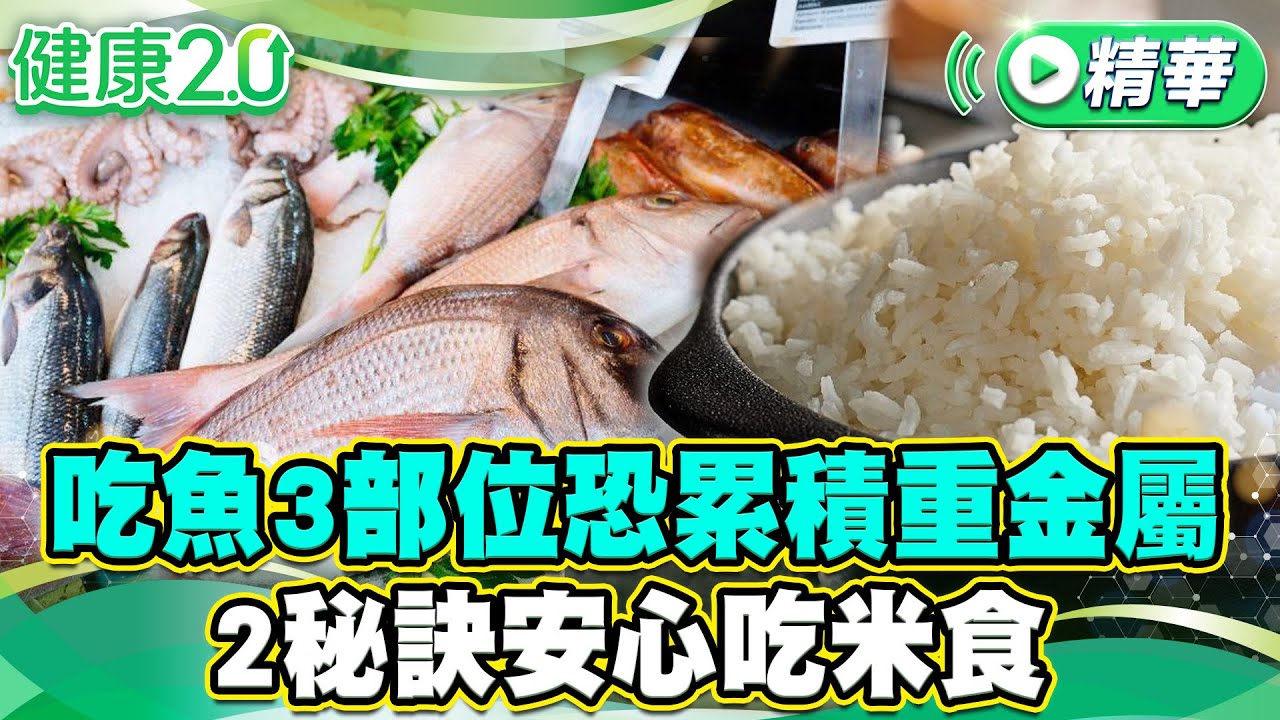 吃魚3部位恐累積重金屬 2秘訣安心吃米食【健康2.0 一周精選】#江守山 #陳柏臣 #譚敦慈