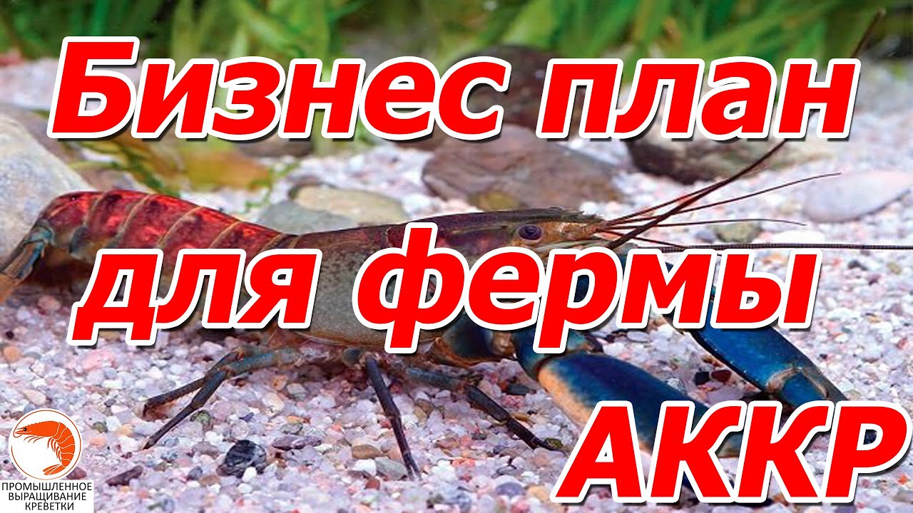 Что нужно знать для создания бизнес плана для фермы АККР