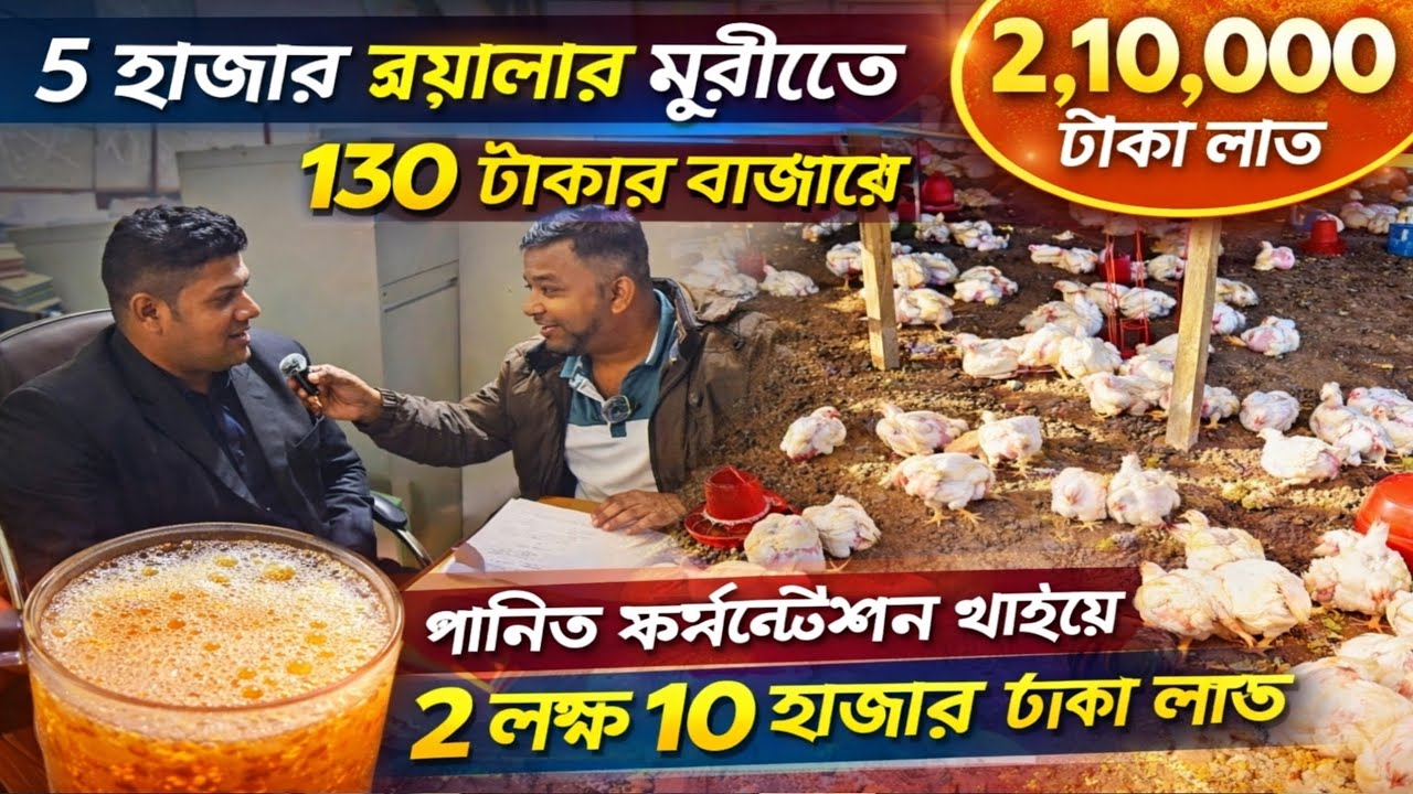 5 হাজার ব্রয়লার মুরগীতে 130 টাকার বাজারে ২,১০,০০০লক্ষ দশ হাজার টাকা লাভ পানি ফর্মেন্টেশন খাইয়ে। 
