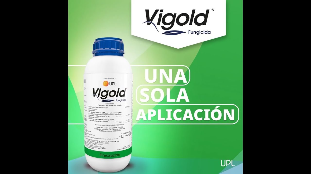 Recomendaciones UPL | Control de las principales enfermedades en los cultivos_ Vigold(r)