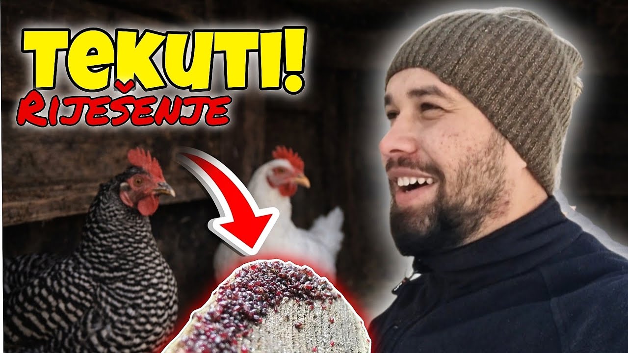 Najbolji način da se riješiš Tekuti (Grinja) bez skupih preparata! 