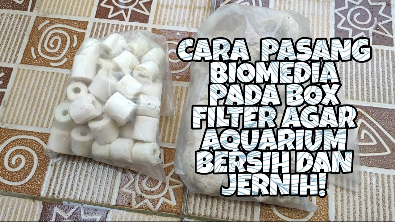 Cara Pasang Biomedia Pada Box Filter Agar Air Bersih Dan Jernih!
