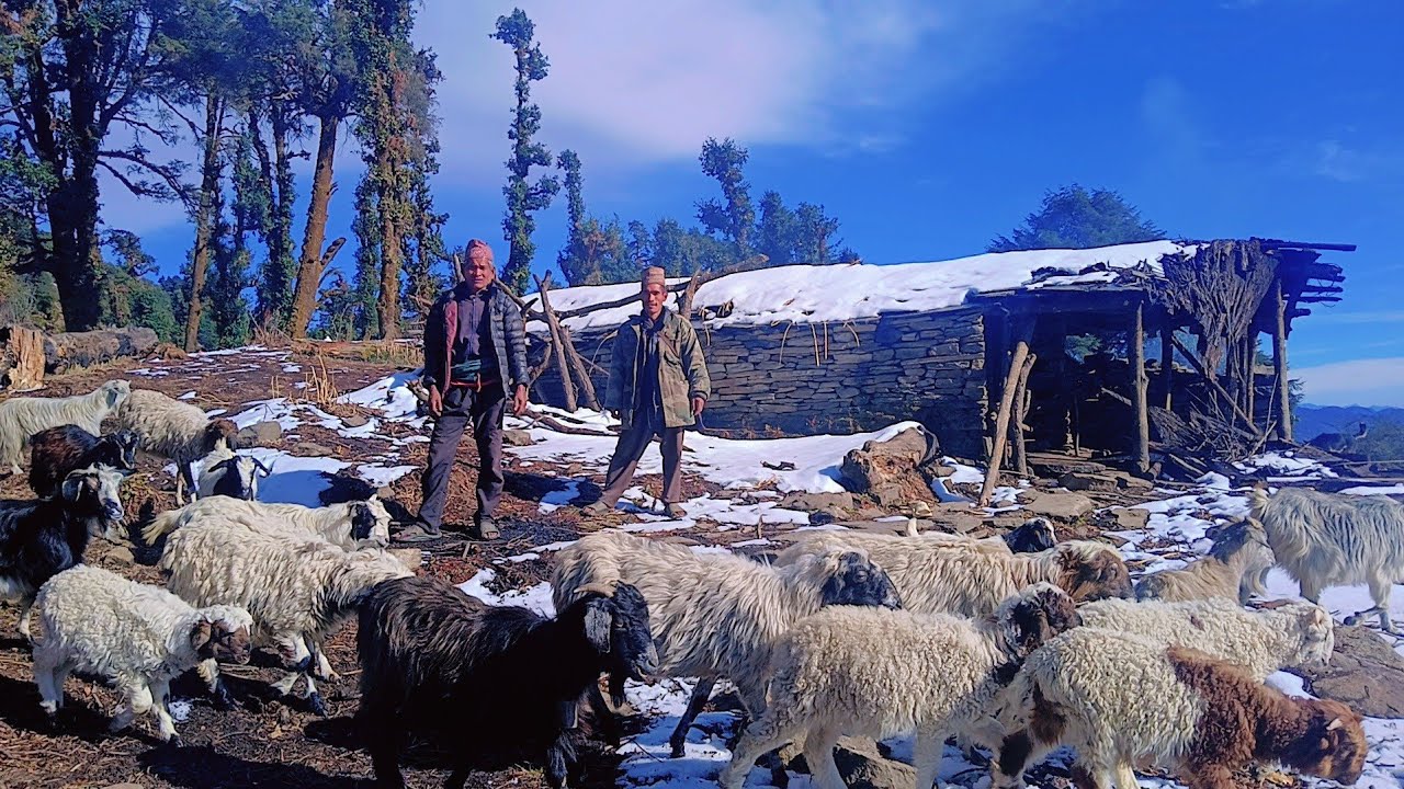 Inspiring Mountain Life in Snow l Remote Village of Nepal