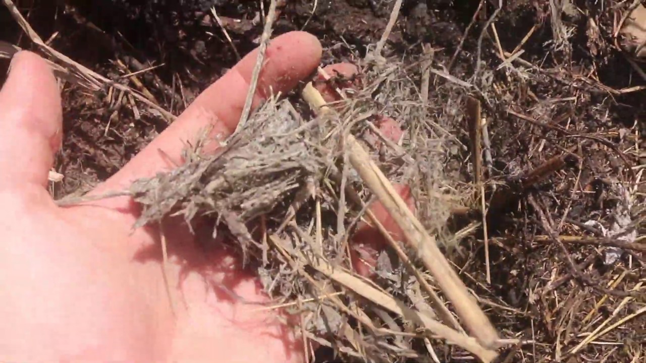Two Easy Tricks for Faster Compost
