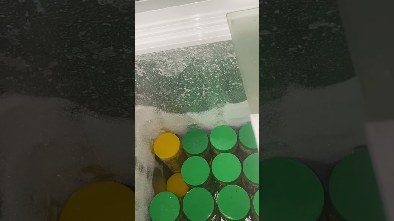 تخزين حبوب اللقاح و مدة صلاحيته
