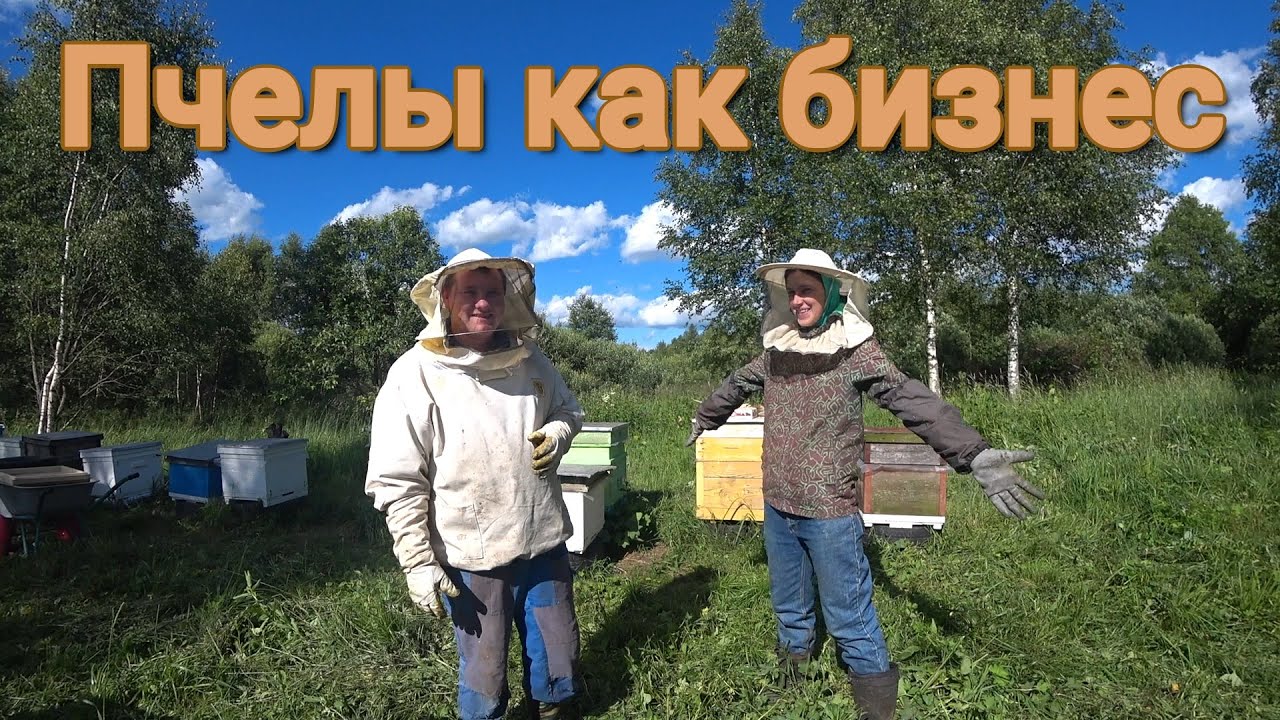 пчелы как бизнес // качаем майский мед
