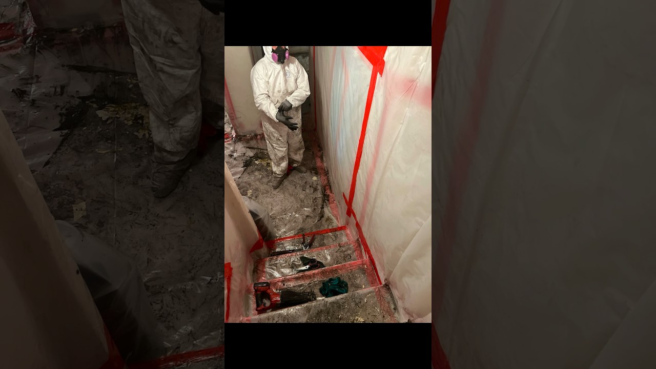 100 Year Old Furnace #asbestos #insulation #demolition #hvac #construction #renovation #dirtyjobs