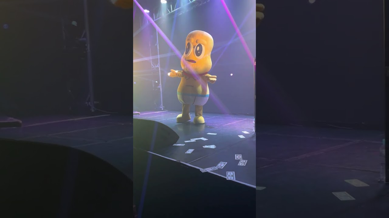 ピーナッツくん 新曲② Gordon Kill the Thomas ゴードンキルザトーマス ライブ P2V2P_FES 渋谷WOMB 2023/05/26