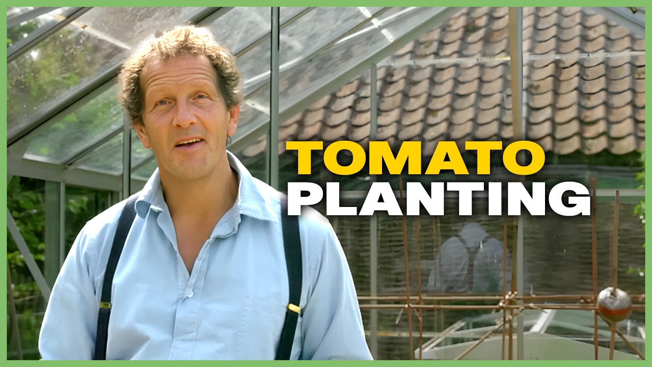 Inside Longmeadow: Monty Don's Greenhouse Jobs | Gardeners' World