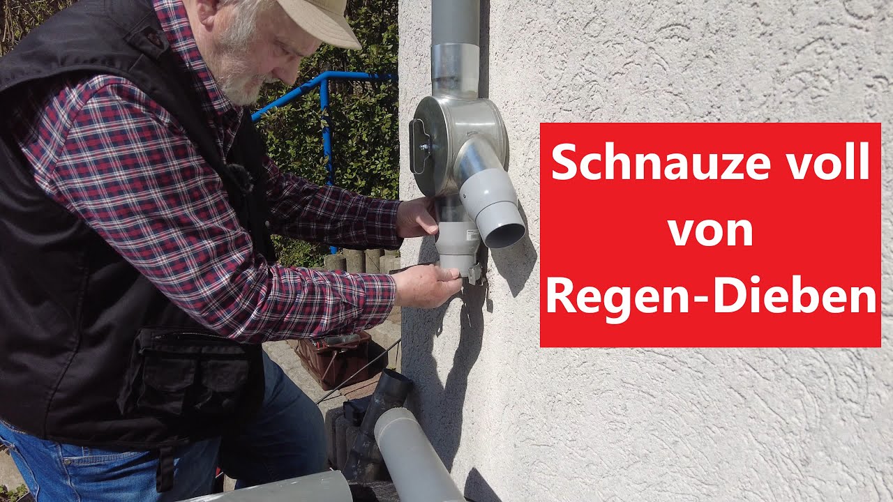 Schnauze voll von Regen-Dieben