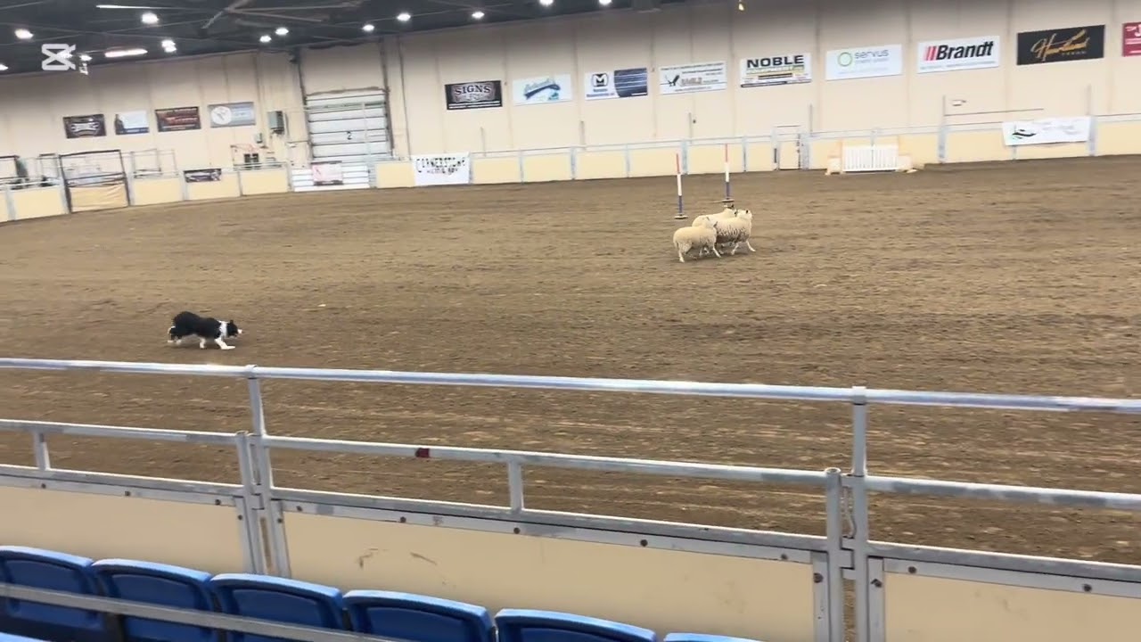 Student zoom pt 2