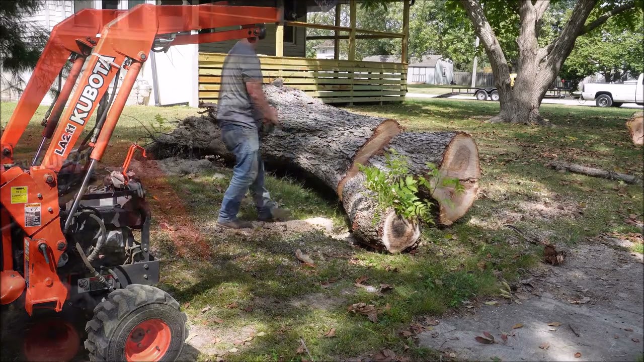 Trying Out A Holzfforma Clone G660 92cc Chain Saw This Saw Is A Beast