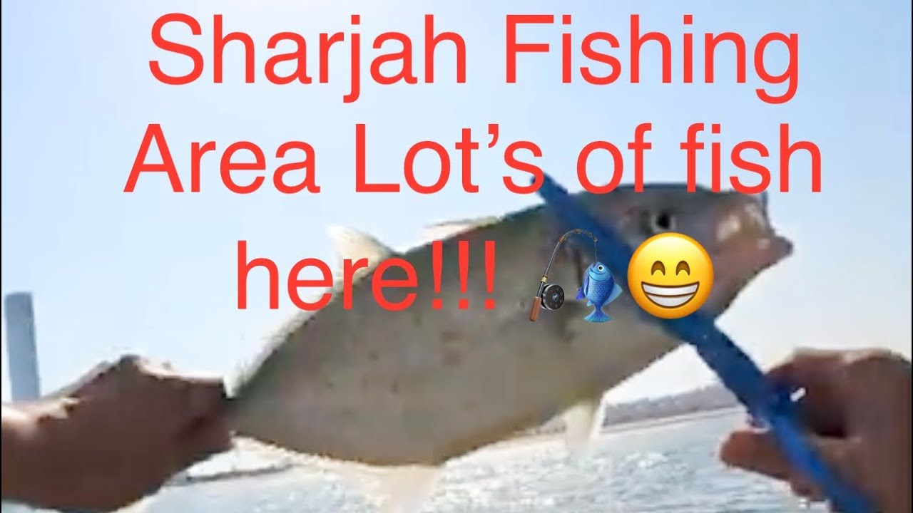 GT Talakitok Trevally. Fishing at Sharjah fishing area!! #fishon #trevallyfish #beachvibes