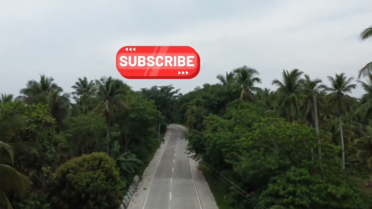 Lot#20 OUT❗❗❗❗Coconut farm for sale in Catanauan Quezon 9.3 has for 6 million 😍😘🌴♥️🌴