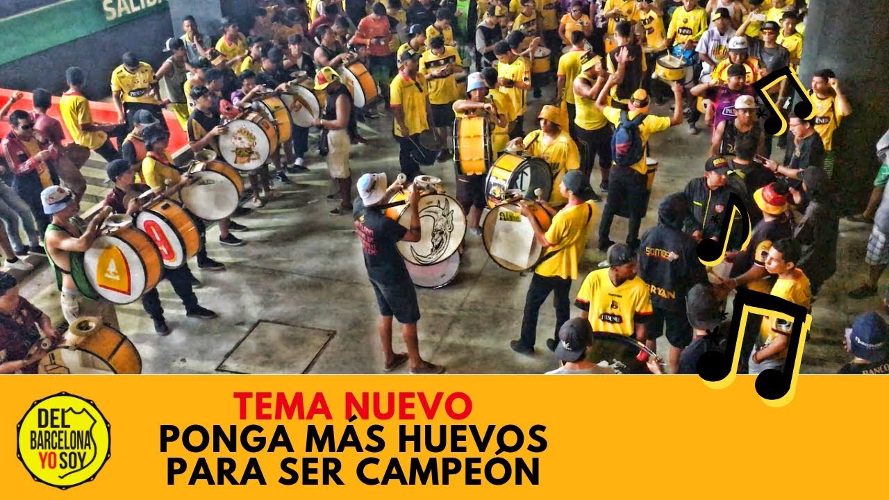 TEMA NUEVO - Pongan más huevos para ser campeón | Sur Oscura