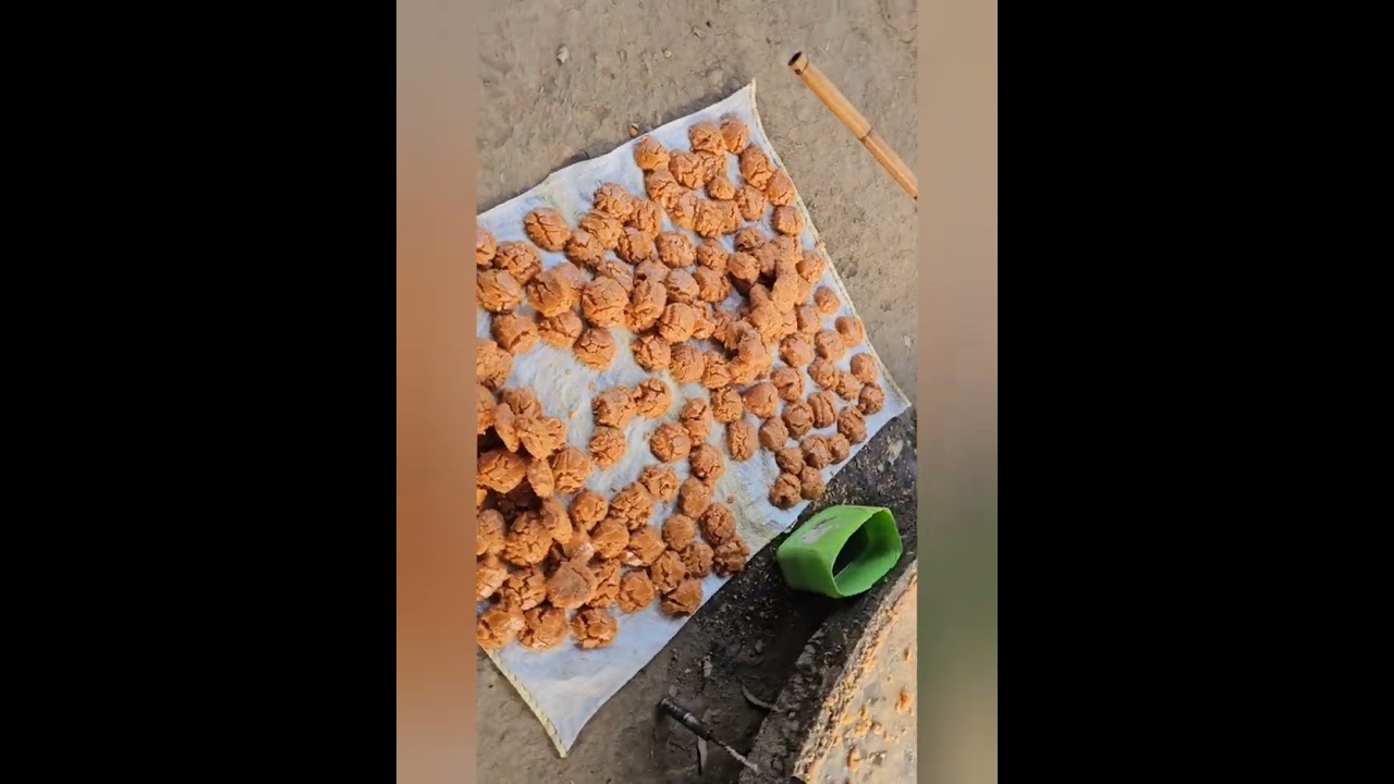 ਸੌ ਬਿਮਾਰੀ ਦਾ ਇਲਾਜ ਹੈ ਗੁੜ।ਪੰਜਾਬ ਦਰਸ਼ਨ ਟੀ ਵੀ