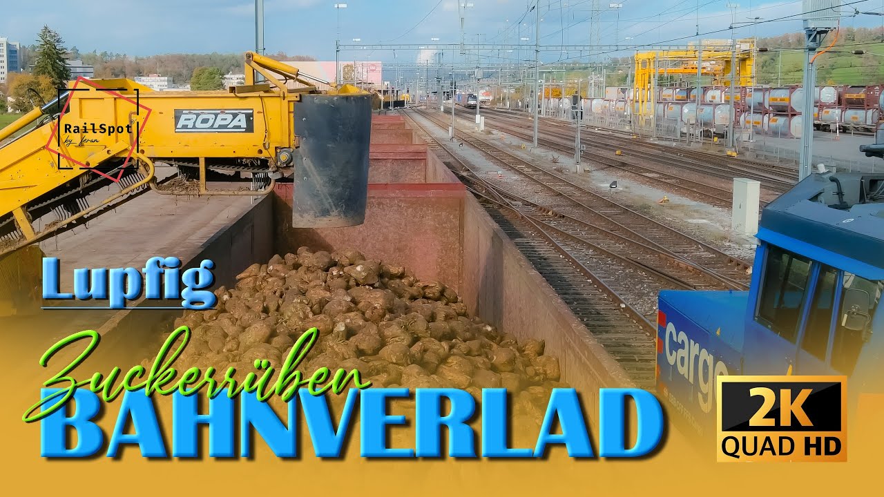 BAHNVERLAD ZUCKERRÜBEN
