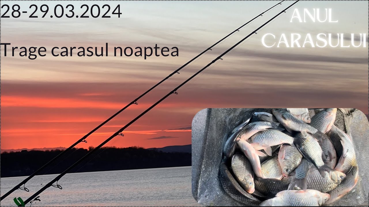 Pescuit de-o NOAPTE la CARAS MARE !! Locul FOARTE CUNOSCUT de pe DUNĂRE !! Pescar lângă pescar😱