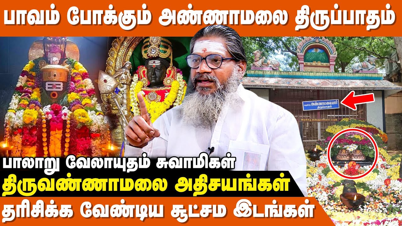 முருகனை வணங்கி அண்ணாமலையாரை தரிசிப்பது சிறப்பு ! - Palaru Swamigal | Thiruvannamalai Valipadu Murai