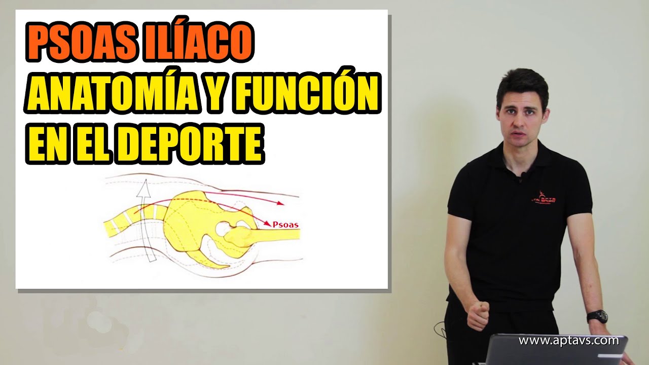 M&Uacute;SCULO PSOAS IL&Iacute;ACO | FUNCI&Oacute;N, ANATOM&Iacute;A y C&Oacute;MO ESTIRARLO
