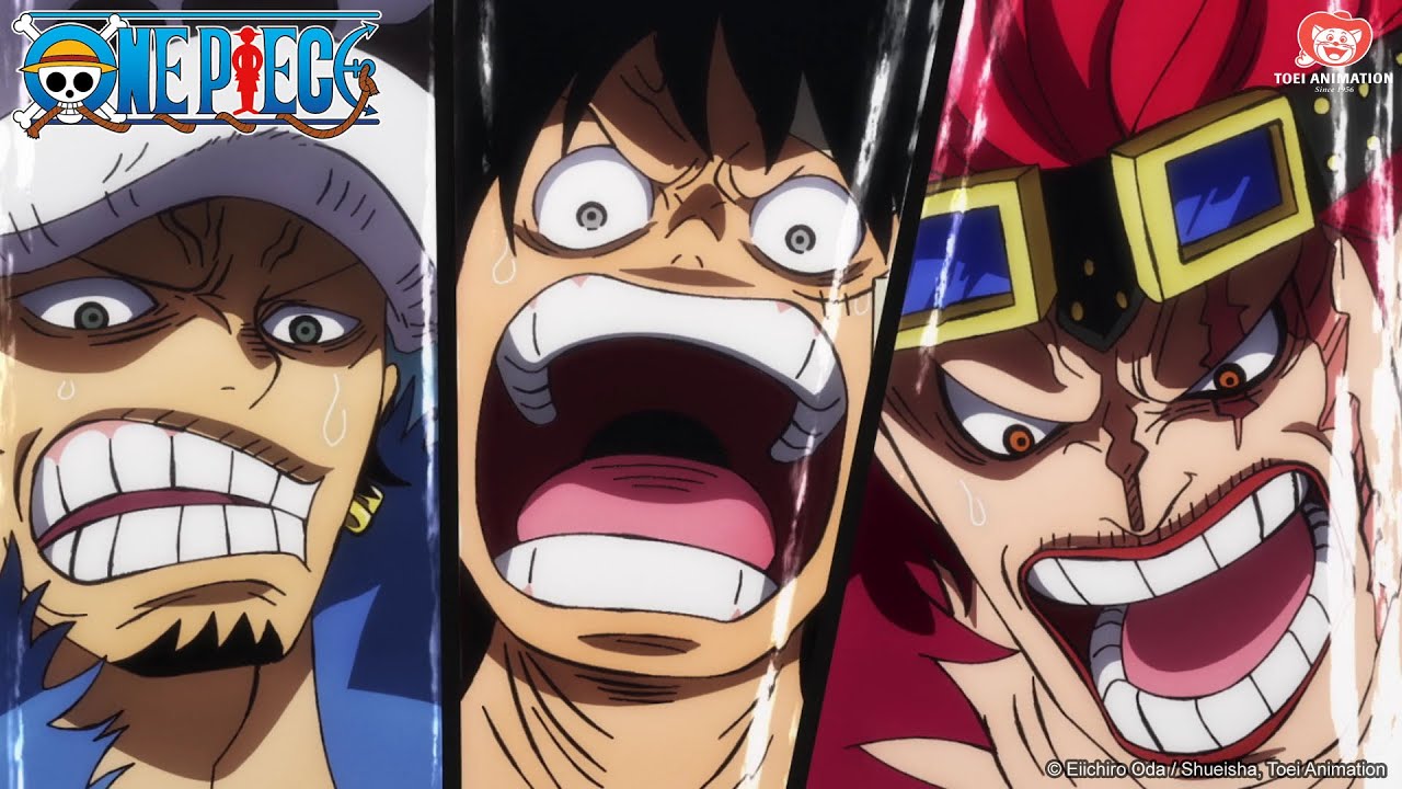 Sicuro è bello, no? | One Piece