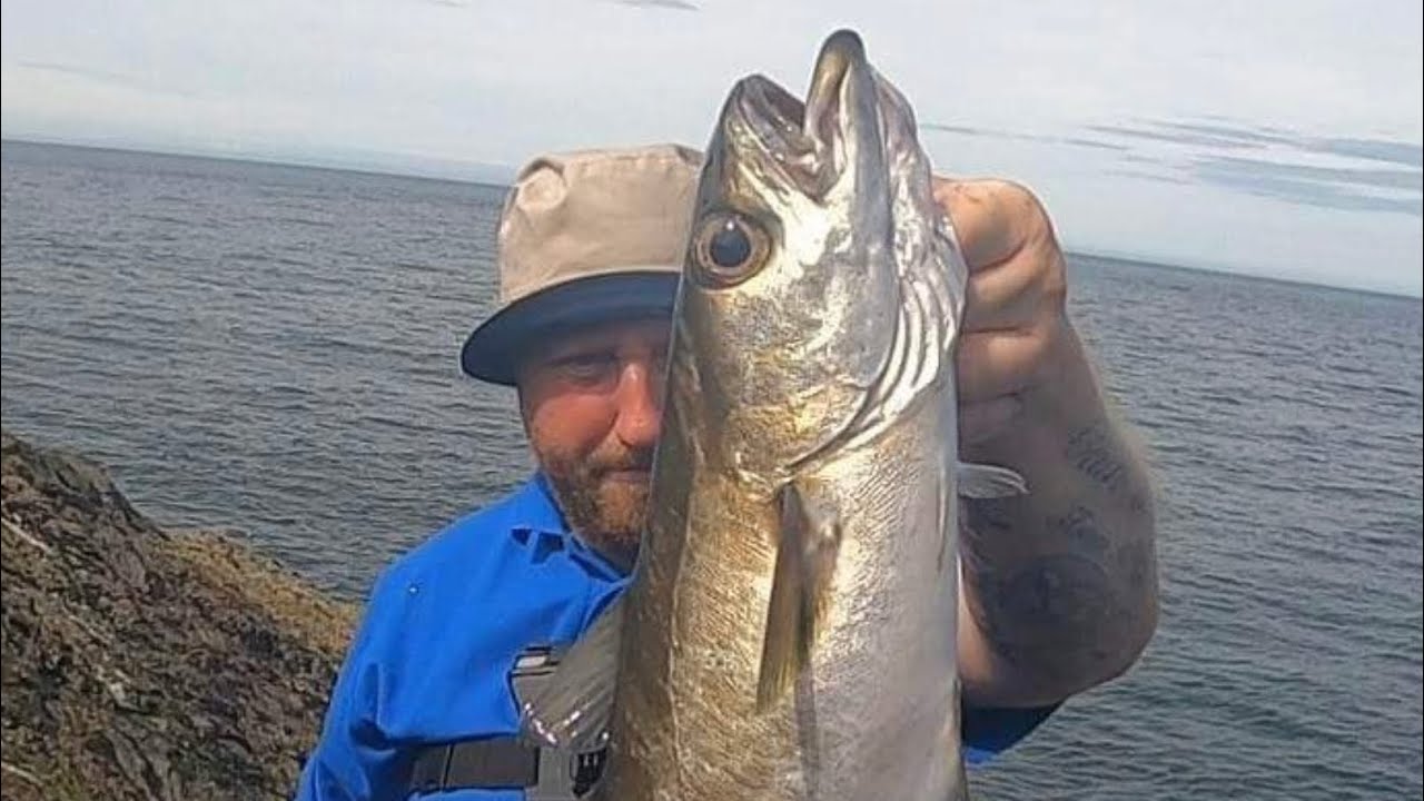 ANGLESEY TRIP / FISH FEST