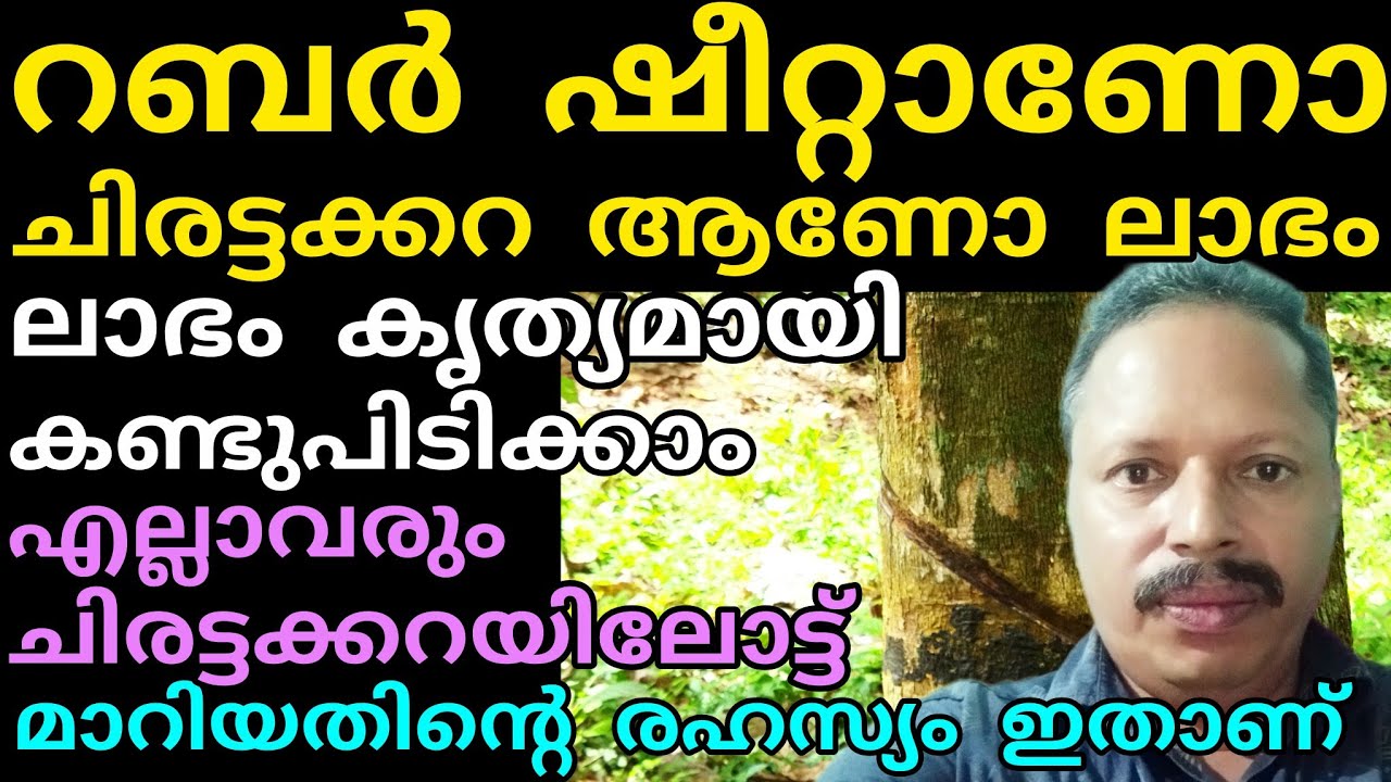 റബർ ഷീറ്റിൽ നിന്നും ചിരട്ടക്കറയിലോട്ട്  കർഷകർ മാറുന്നു | Manojnediyackal rubber tapping 